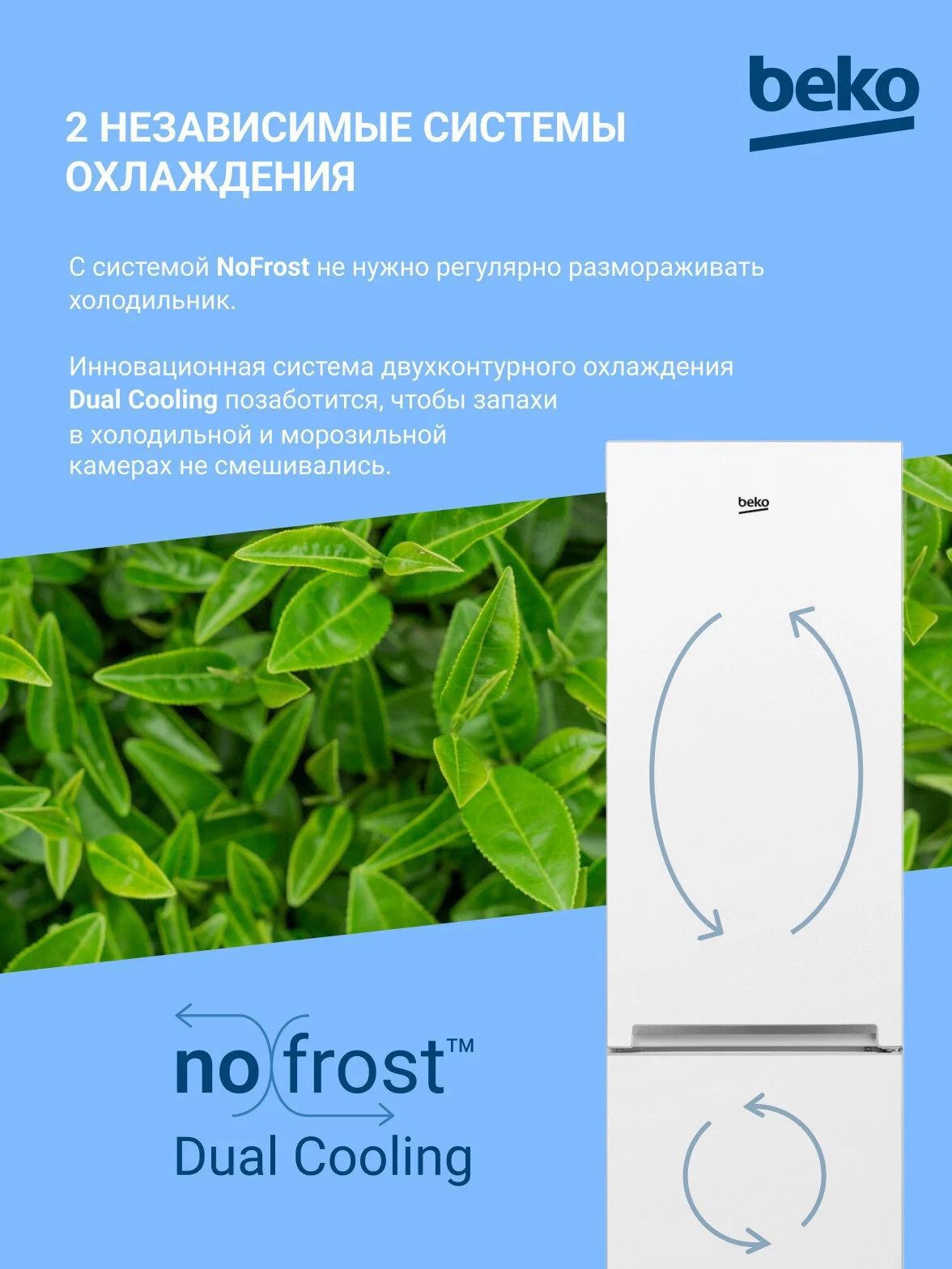 холодильник beko rcnk335k00w, купить в Красноярске холодильник beko rcnk335k00w,  купить в Красноярске дешево холодильник beko rcnk335k00w, купить в Красноярске минимальной цене холодильник beko rcnk335k00w
